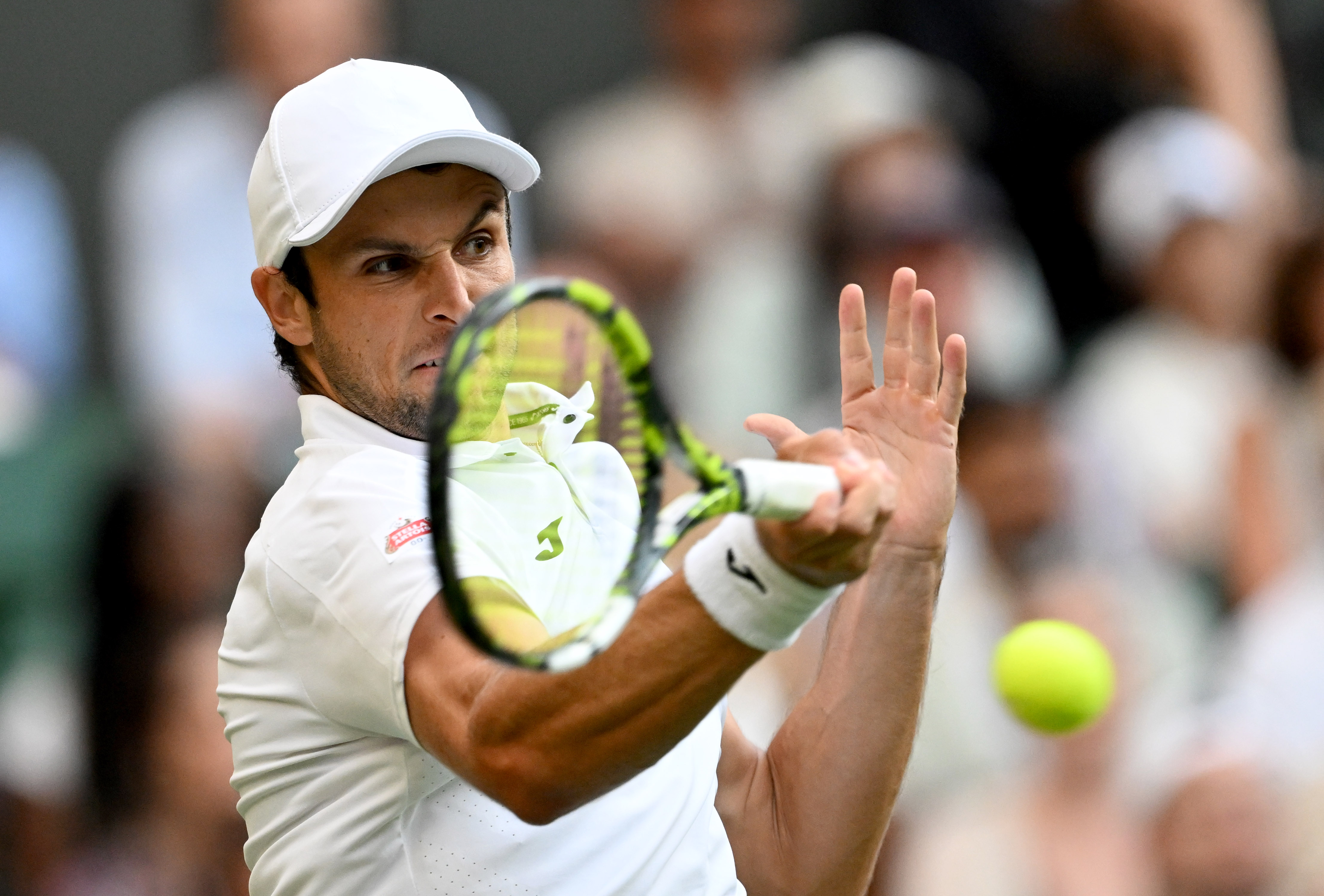 开云官网-温网完胜拉沃尔杯，辛纳高光表现